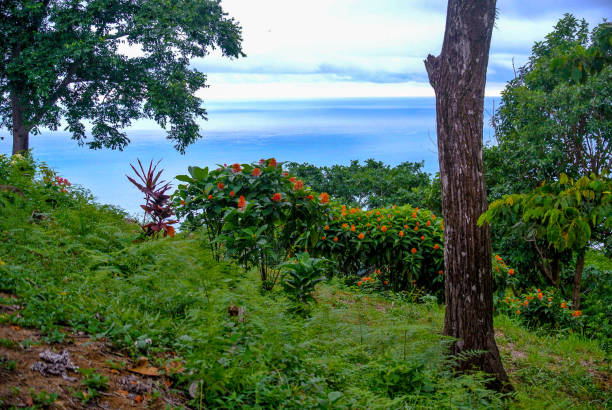 istock Beach in Costa Rica 2197299184