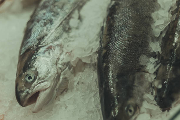 istock Fresh fish in the market 2197301076