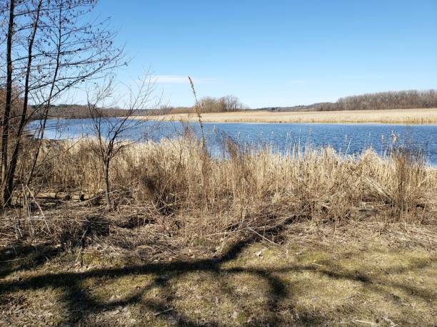 istock Trail along the river with trees and grasses. 2197303446