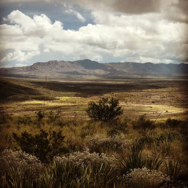 West Texas Ranch