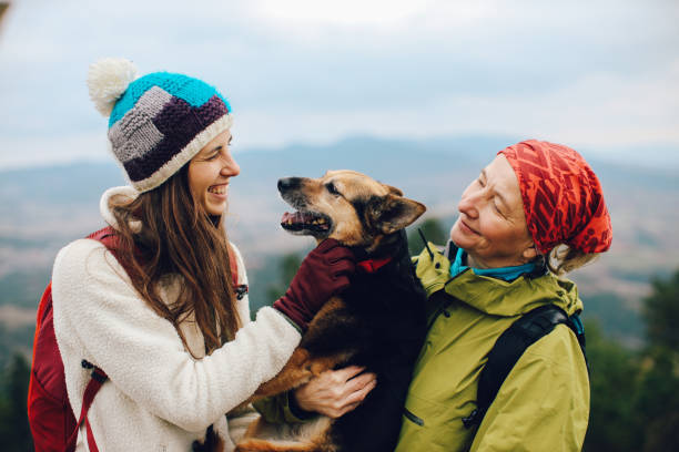 istock Family hike in the mountains with pets 2197307656