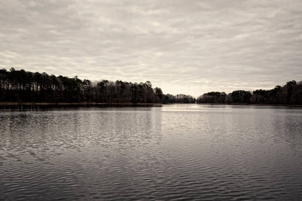 The image showcases a calm lake surrounded by dense forests under an overcast sky. The water's surface is gently rippled, reflecting the muted tones of the sky. The shoreline is lined with tall trees, some appearing bare, indicating a late autumn or winter season. The distant horizon is framed by the narrowing of the lake, creating depth and perspective. The overall color palette consists of earthy browns, grays, and deep greens, giving the scene a serene and slightly melancholic atmosphere. A few small boats or birds are visible in the distance, adding subtle details to the tranquil setting.