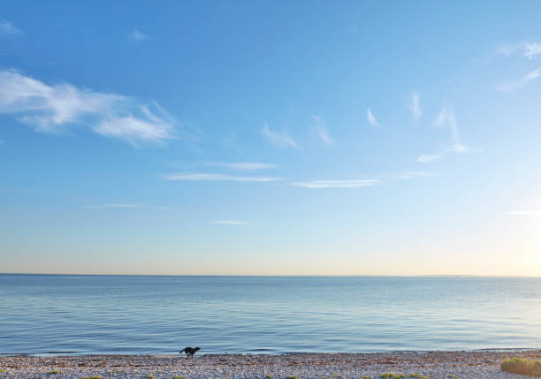 A serene coastal scene showcasing a peaceful beach against the backdrop of a tranquil ocean and clear blue skies. The expansive view evokes a sense of tranquility and relaxation, perfect for promoting travel or nature-focused themes. This picturesque view highlights the natural beauty of Denmarkâs coastline.