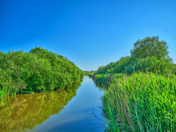 A tranquil river flows gently through lush green vegetation under the endless blue summer sky. This picturesque scenery captures the serene beauty of summer in Denmark, inviting moments of reflection and peace.