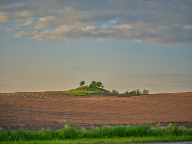 A tranquil summer scene in Denmark, showcasing waving fields under a partly cloudy sky. The image captures the rhythm of rural life, a harmony of lush tones and natural balance.