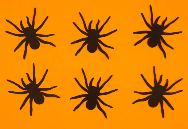 istock Spooky black spiders on an orange background for Halloween decorations in October 2197309921