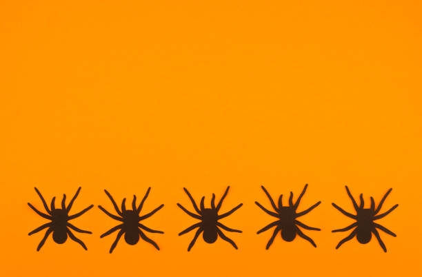 istock Black spiders on a vibrant orange background create a striking visual contrast in autumn 2197309923