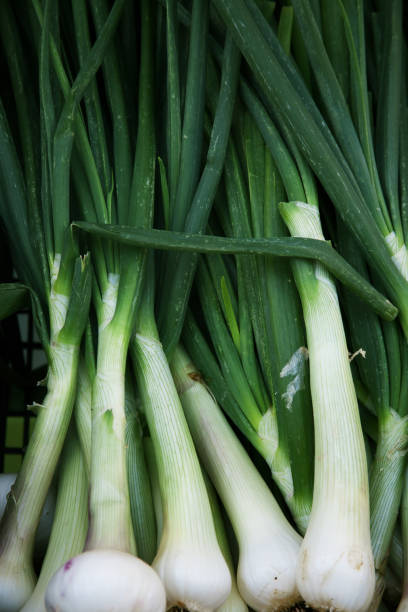 istock Close up of chives 2197310421