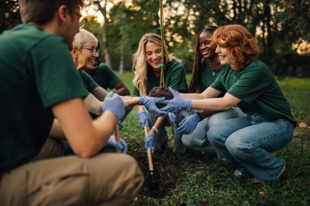 istock Group of volunteers planting new tree in park 2197310655