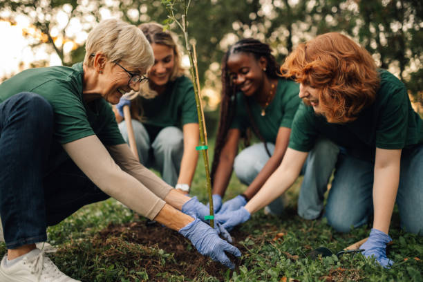 istock Group of volunteers planting a tree in the forest 2197310664