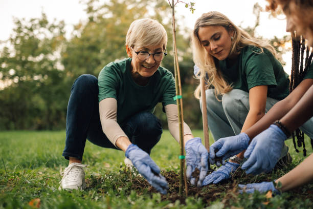 istock Volunteers planting a tree in a park 2197310670