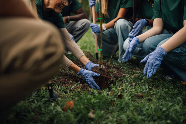 istock Group of volunteers planting a tree in the park 2197310683