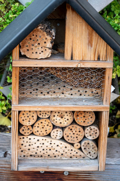 Bee hotel on the street in Vienna.