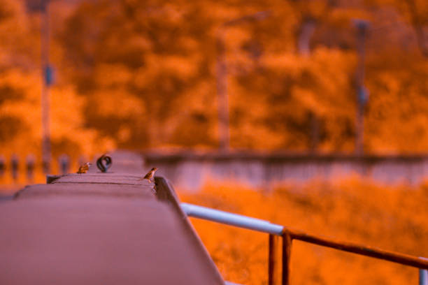The image features a railing or ledge in the foreground, which is blurred slightly. In the background, there is a vibrant orange hue dominating the scene, giving the impression of autumn leaves or an ethereal landscape.