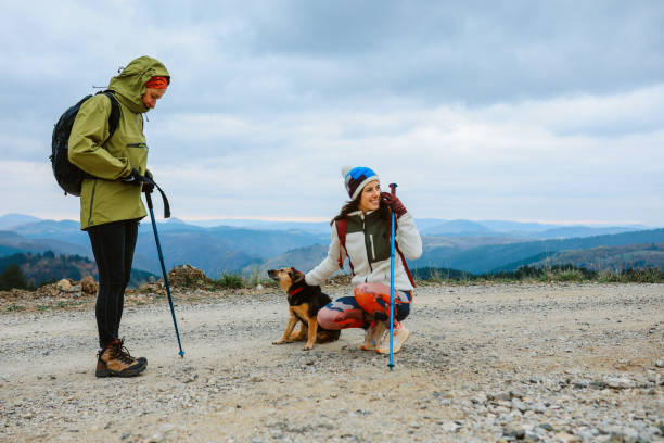 istock Family hike in the mountains with pets 2197314884
