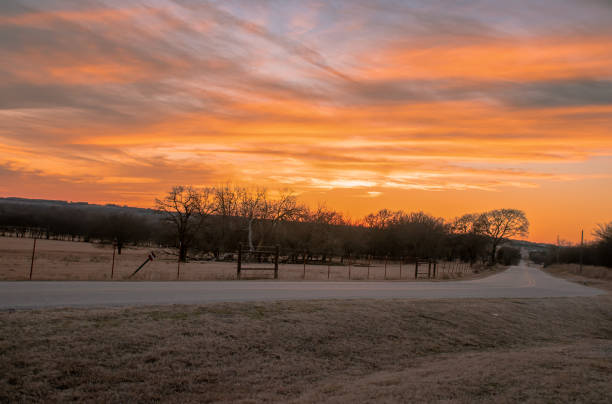 Painted orange sky in a rural area with a paved road leading the way between cattle pastures