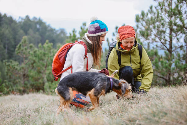 Mom and daughter looking at the beautiful vista from the top of the mountain range. They are spending a lovely day hiking in the nature. Family bonding and healthy lifestyle concepts while hiking with their pet dogs.