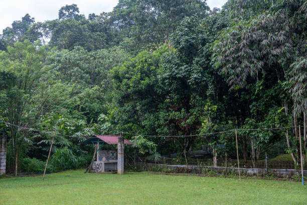 istock Serenity in the Backyard: A Tranquil Landscape 2197320517
