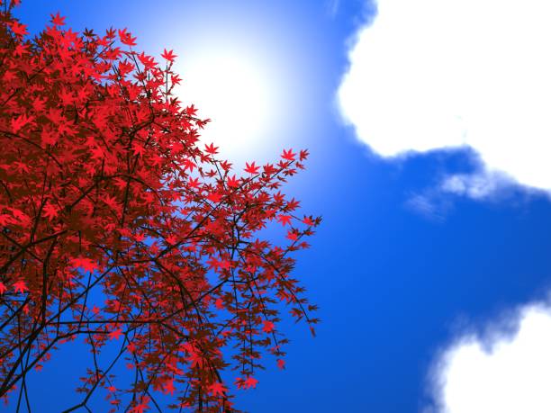 This is a picture I imagined.\nI do not use photos or illustrations for reference.\nImage rendered by 3D software.\nI'm not using \