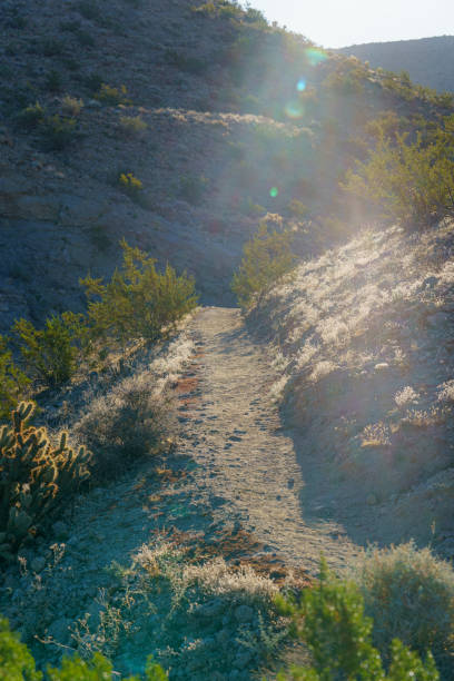 Hiking trail in the desert with sun flares and golden light