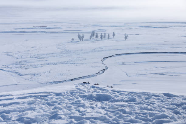 istock A desolate winter landscape stretches endlessly, with sparse, frost-covered trees dotting the snow-blanketed terrain. 2197333160