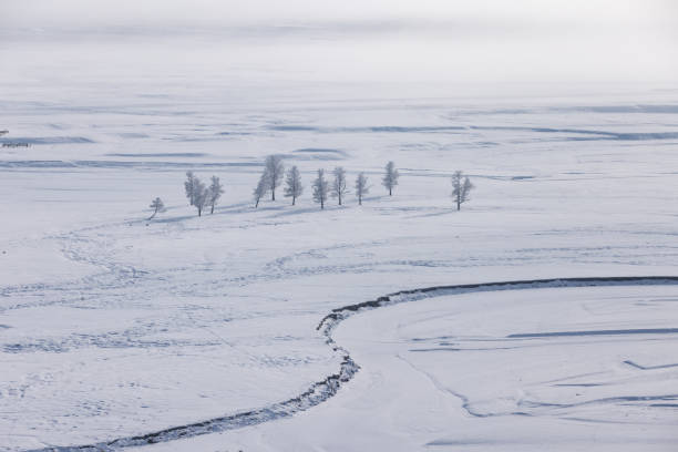 A desolate winter landscape stretches endlessly, with sparse, frost-covered trees dotting the snow-blanketed terrain.