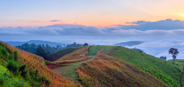 istock landscape of Chiang Mai 2197335032