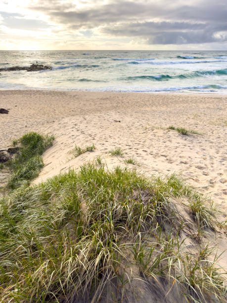 istock Stradbroke Island Sunrise 2197335300