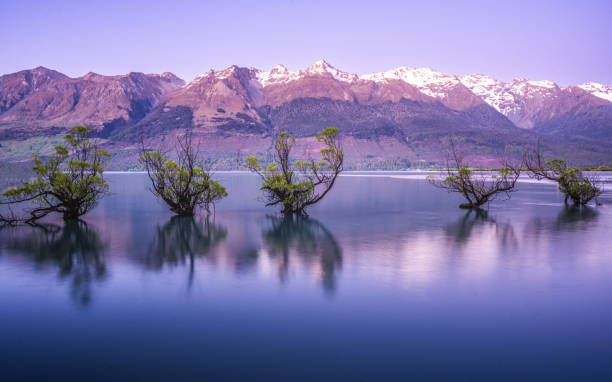 istock Glenorchy Willow Trees, New Zealand 2197335651