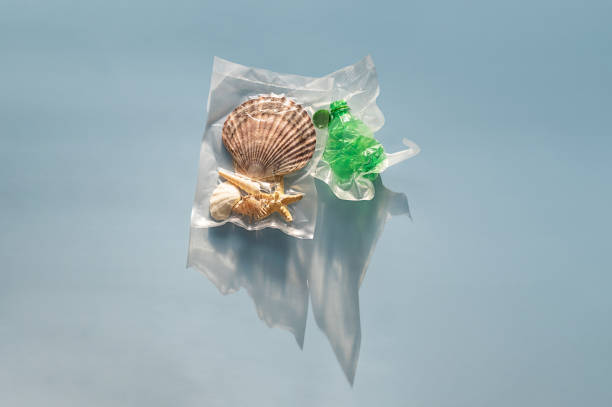 Sea shells and plastic bottle vacuum-sealed pack. Nature vs plastic waste concept.