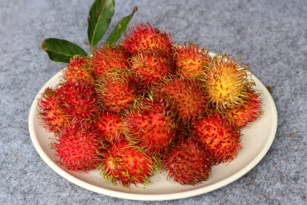 istock Rambutan fruit in a white plate on gray background 2197343262