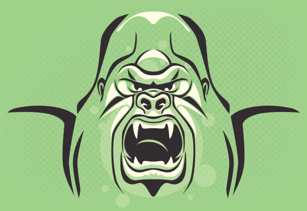 angry gorilla vector illustration of angry gorilla roaring huge silverback gorilla stock illustrations