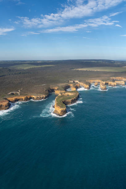 istock Ariel view of Mutton Bird Island 2197344953