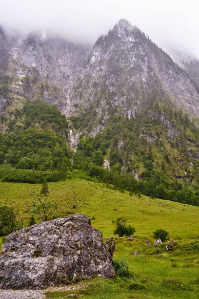istock Misty mountain landscape with lush greenery. 2197345364