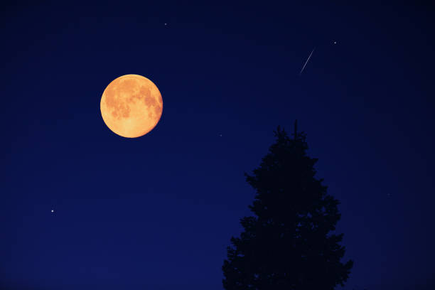 istock Full Moon, stars, planets and landscape scenery silhouettes. 2197346963