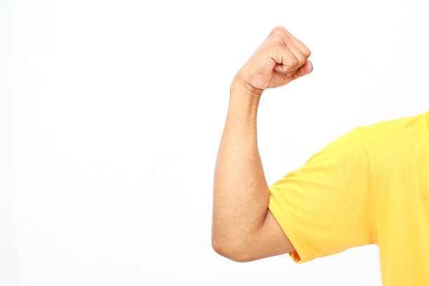A flexed bicep on a white backdrop, showcasing strength and fitness. A powerful human body image.