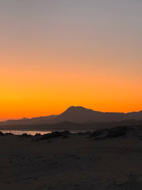 istock Beaches of Oman 2197350443