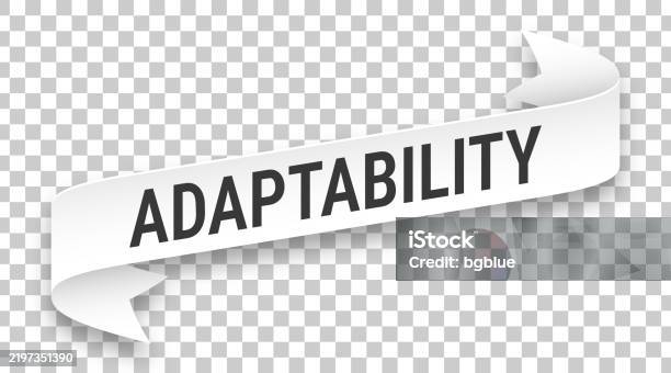 Background Photo Adaptability Adaptability 3d Banner On Transparent Background Stock Illustration ...