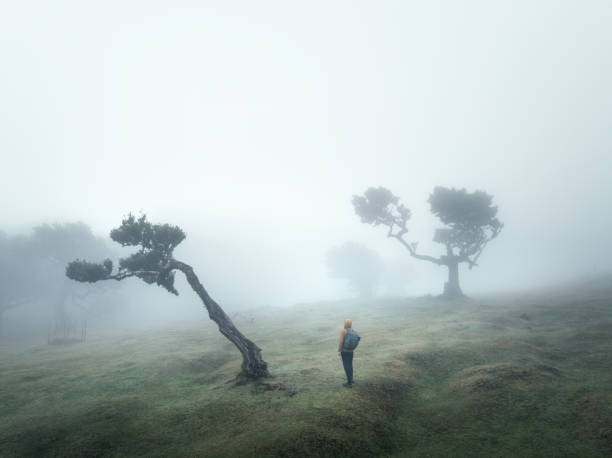 istock Exploring Fanal In Fog 2197354663