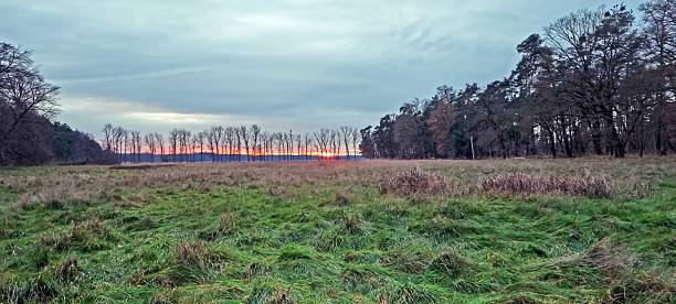 istock Scenic field with bare trees at sunset under a colorful sky 2197356711
