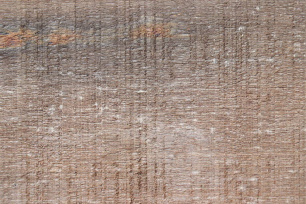Cutting board texture. Natural wood material