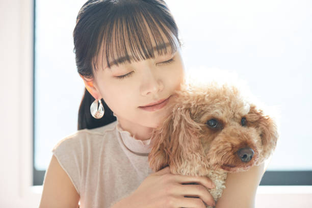 istock Young Asian woman with her dog 2197357476