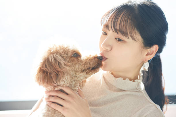 istock Young Asian woman with her dog 2197357479