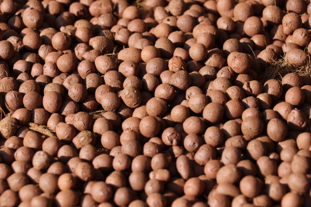 istock Mulch for cultivation. Soil preservation. 2197358602