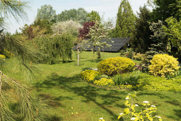 istock Green ornamental garden in spring 2197359473