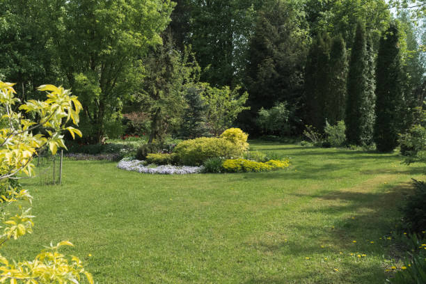 istock Green ornamental garden in spring 2197359613