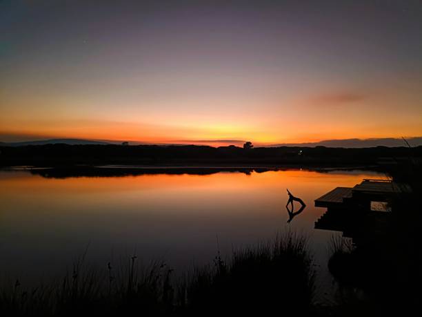 A glass-like lake reflects golden sunrise hues, with reeds swaying and driftwood floating motionless.  A wooden platform extends into the still water, capturing a timeless moment of quiet solitude.