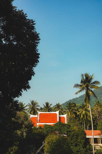 A traditional Thai temple roof surrounded by lush palm trees and a clear blue sky, capturing the serene beauty of Thailand's landscape.