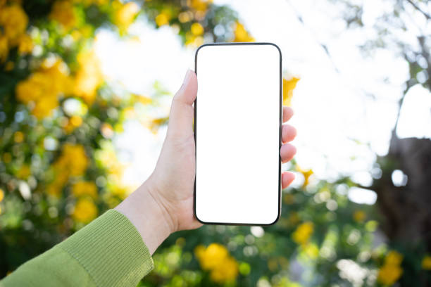 istock Smart phone mockup. Women hands holding cell telephone blank copy space screen smartphone blank white screen isolated technology concept. 2197362630