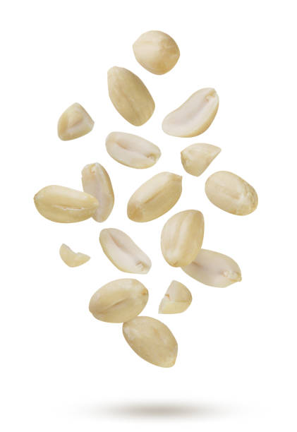 istock Peeled peanuts flying close-up on white. Isolated 2197365160
